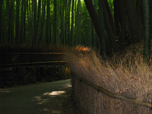 bamboo road