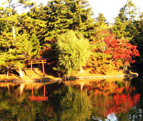 autumn in Nara