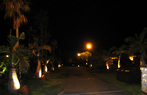 night garden